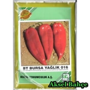 btbursayaglik25gr-228x228