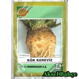 btkokkereviz25gralabaster-228x228