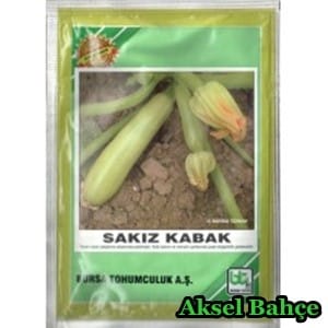 btsakizkabak25gr-228x228