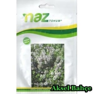 nazkekik10gr_resize-228x228