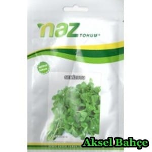 nazsemizotu10gr-228x228