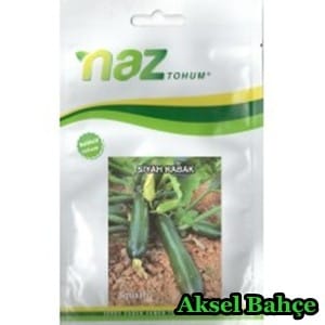 nazsiyahkabak10gr-228x228