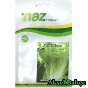 nazyedikule10gr-228x228