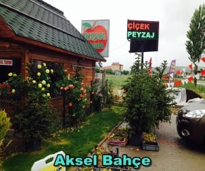 Aksel Bahçe