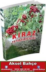 kiraz yetiştiriciliği-vert