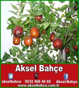 a9ae420aa865584c181c0bc148e0ca9a-vert