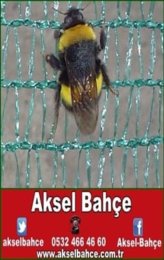 Agril Tül Ağrı Patnos