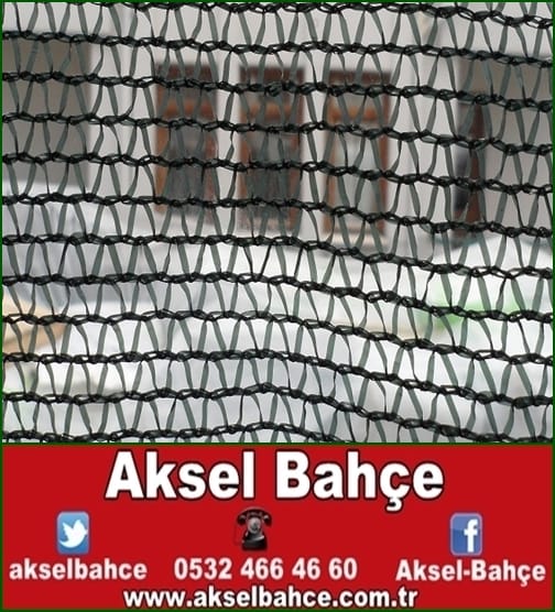 tar__msal_fileler_sera_t__l___sera_filesi_sera_t__lleri_sera_fileleri___z__m_filesi___z__m_ba_____filesi___z__m_t__l__-vert